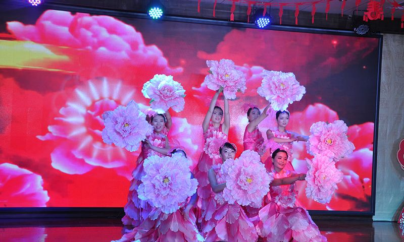 龙跃918博天堂-花开盛世——2016年度文艺汇演